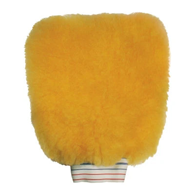 SM Arnold Car Washing Mitt